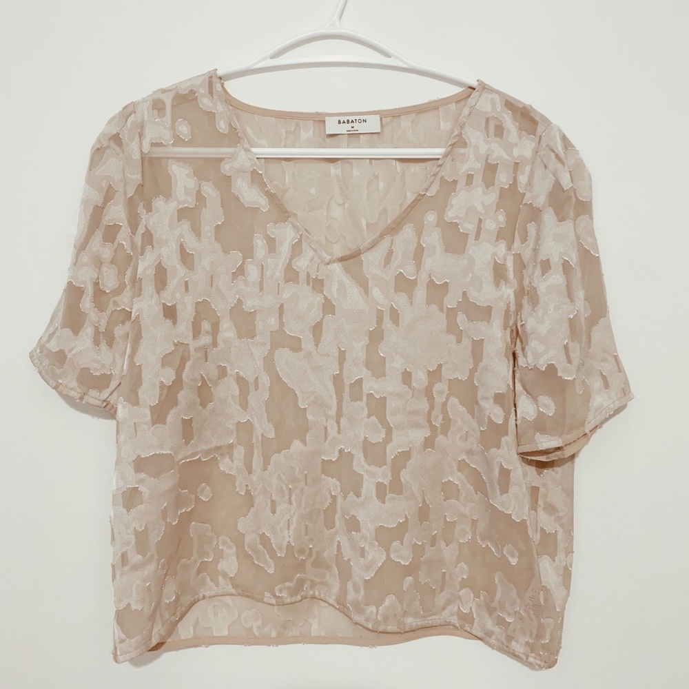 Silky, shear Babaton top from Aritzia. Cream/blush colour.